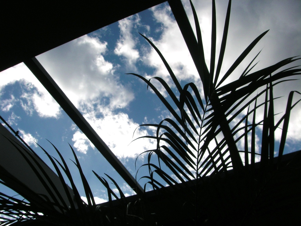 View From a Car Wash by pasadenarose