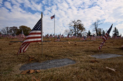 11th Nov 2012 - In Honor of Those Who Served