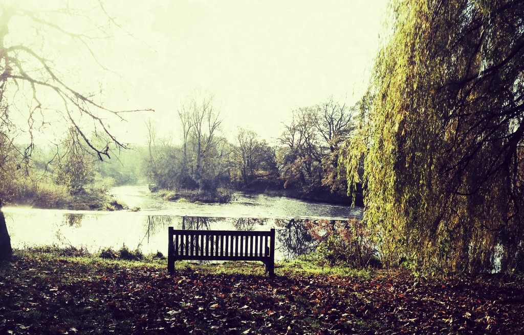 Autumn Bench  by rich57