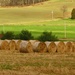 Bales for Later by tanda
