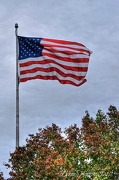 11th Nov 2012 - ...and our flag still flies