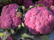 12th Nov 2012 - "purple sprouting broc-cauli-flower"