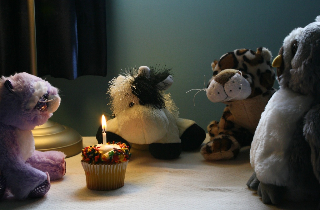 Happy Birthday Sparkle the Raccoon by mittens