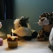 Happy Birthday Sparkle the Raccoon by mittens