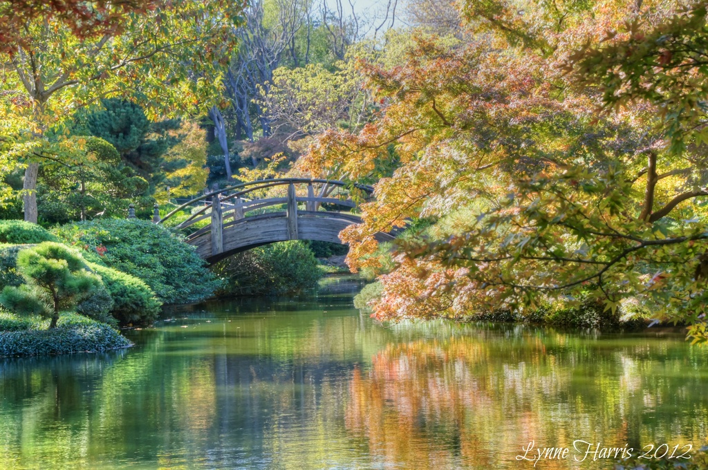 Fall at the Japanese Gardens by lynne5477