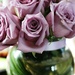 Sterling Roses by melinareyes