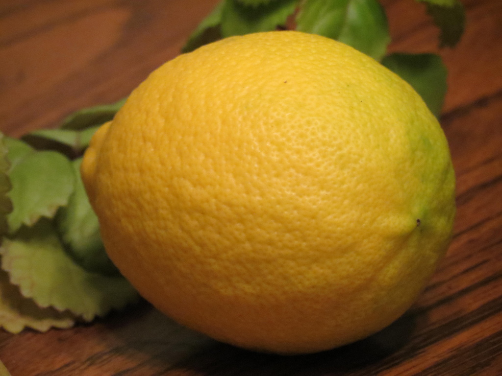 L for Lemon by grammyn