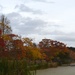 Autumn color, Magnolia Gardens, Charleston, SC by congaree