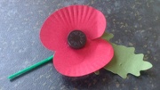 11th Nov 2012 - We will remember them!