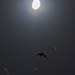 Eclipse flight by sugarmuser