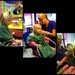 First Haircut by peggysirk