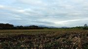 14th Nov 2012 - Yon distant hills.