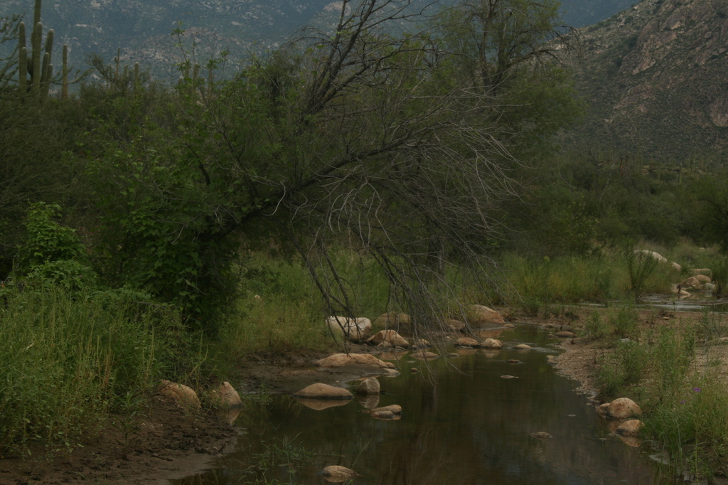 Tucson Water by kerristephens