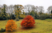 14th Nov 2012 - autumn on the other side of the valley