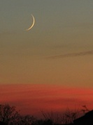 16th Nov 2012 - (Nearly) New Moon