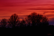 15th Nov 2012 - Majestic Sunset