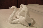 6th Nov 2012 - Towel Art