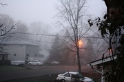 17th Nov 2012 - Early morning fog