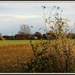Across the fields by rosiekind