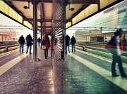 15th Nov 2012 - Walking the platform