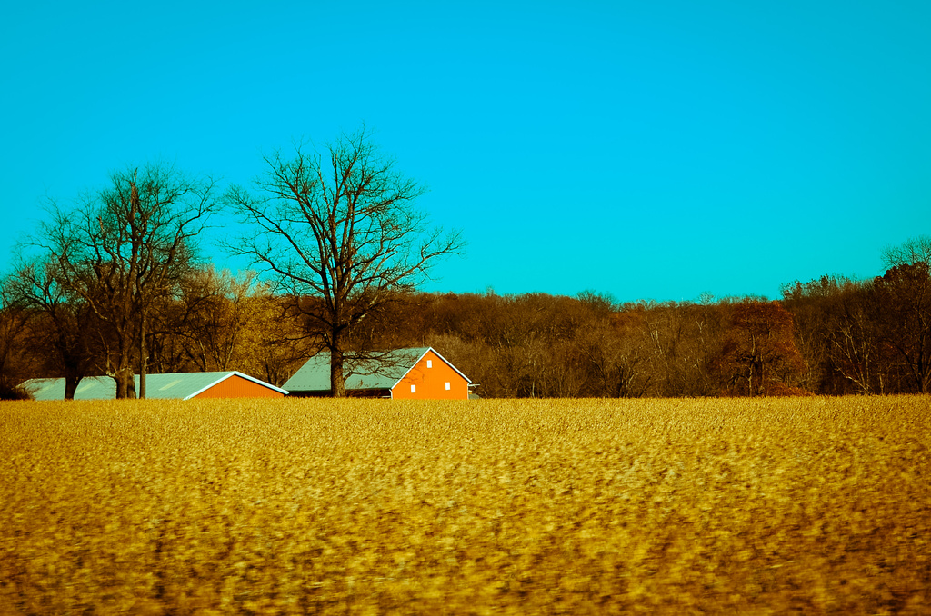 Barn in a Field by lesip