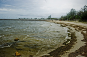 16th Nov 2012 - Pandanus beach