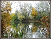 18th Nov 2012 - Finger Lake Priory Country Park