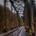 Railroad Bridge Over the Siuslaw by jgpittenger
