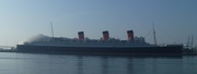18th Nov 2012 - Queen Mary
