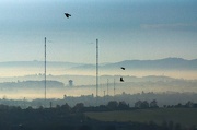 18th Nov 2012 - Worcestershire VII - Misty Morning View