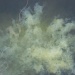 Cloud by berend