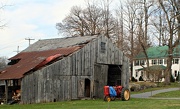 19th Nov 2012 - Safe Outside The Barn