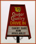 18th Nov 2012 - Cougar Country