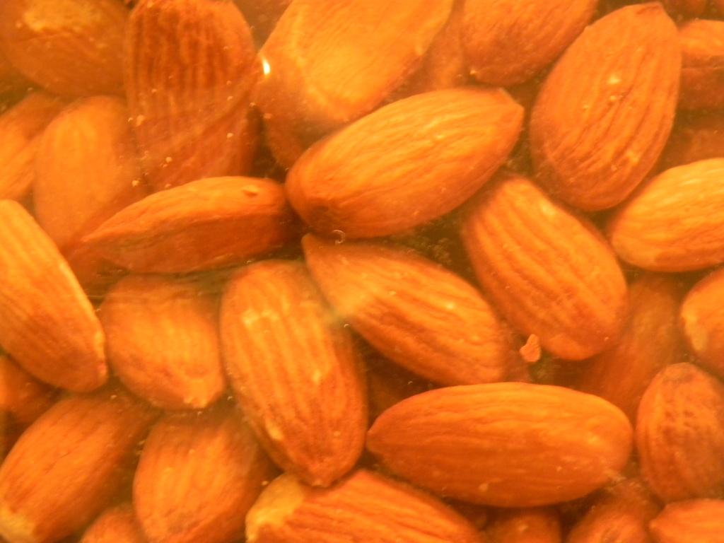 Almonds in Bag 11.18.12 by sfeldphotos