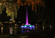13th Nov 2012 - Lake Eola Fountain