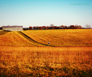 19th Nov 2012 - Lone Hiker