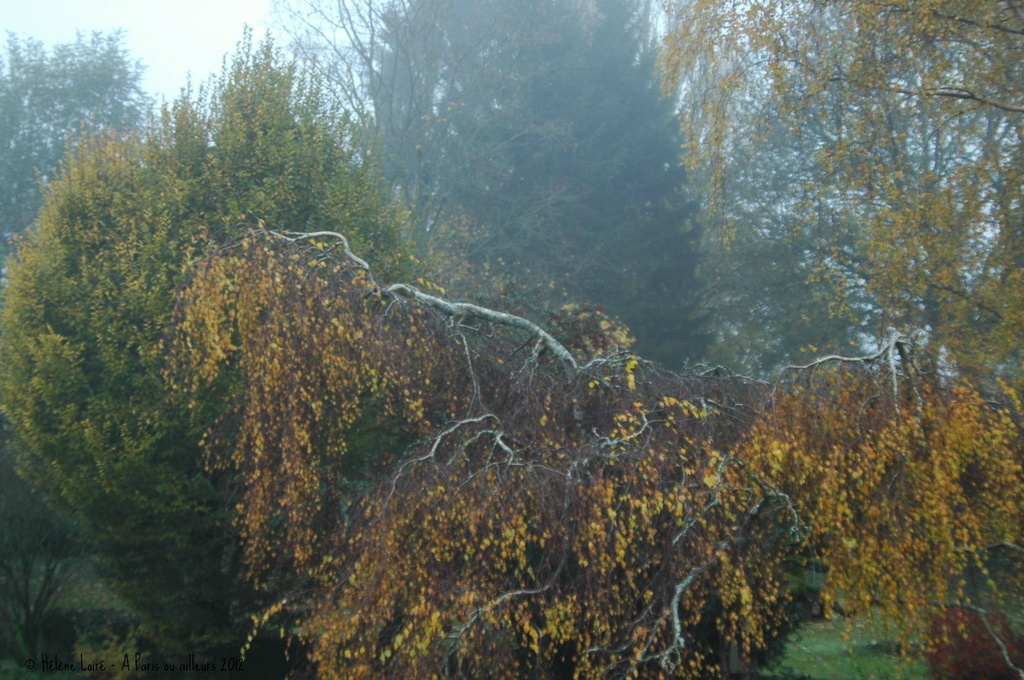 Misty autumn morning by parisouailleurs