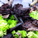 19.11.12 Leafy Mushroom by stoat