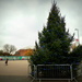 Waltham Forest erects straight Xmas tree shock horror by boxplayer