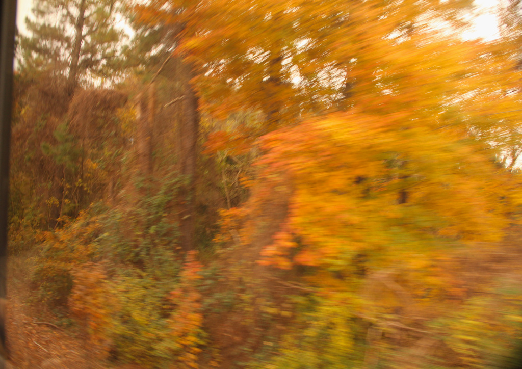 Colour as Seen From the Train by hjbenson
