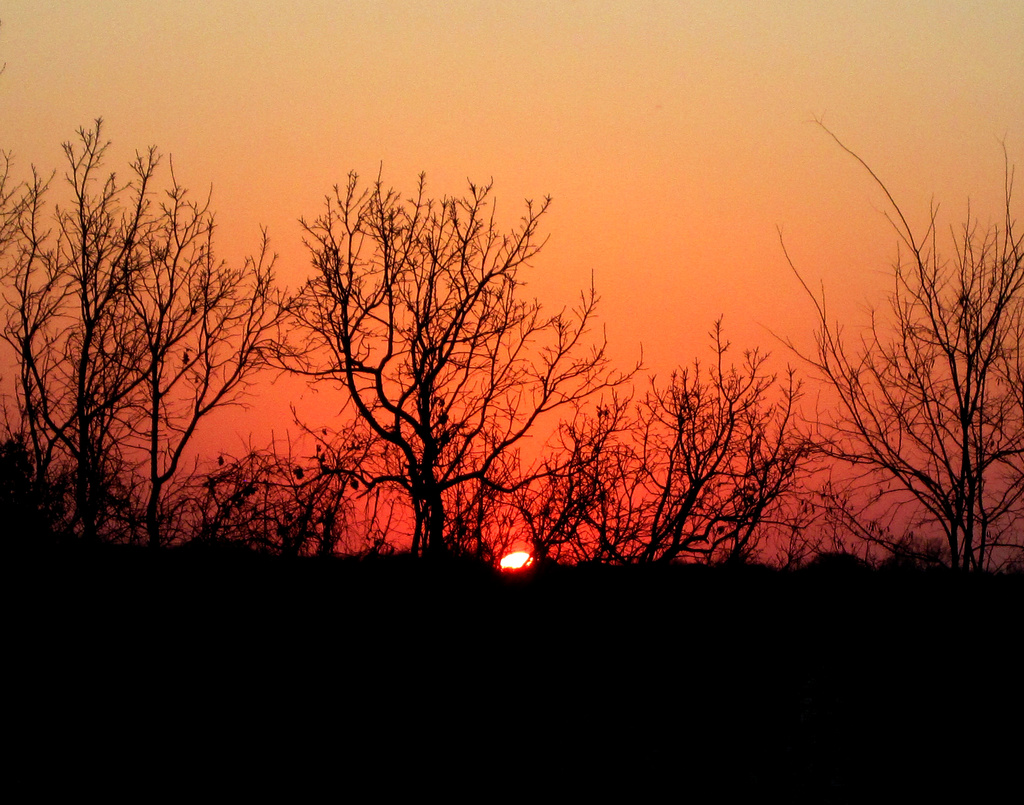 Sunset by dakotakid35