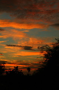 20th Nov 2012 - Sunset In Tucson