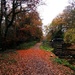 An autumn path by mattjcuk