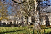 18th Nov 2012 - Churchyard