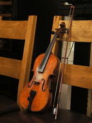 16th Nov 2012 - Fiddle