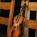 Fiddle by boxplayer