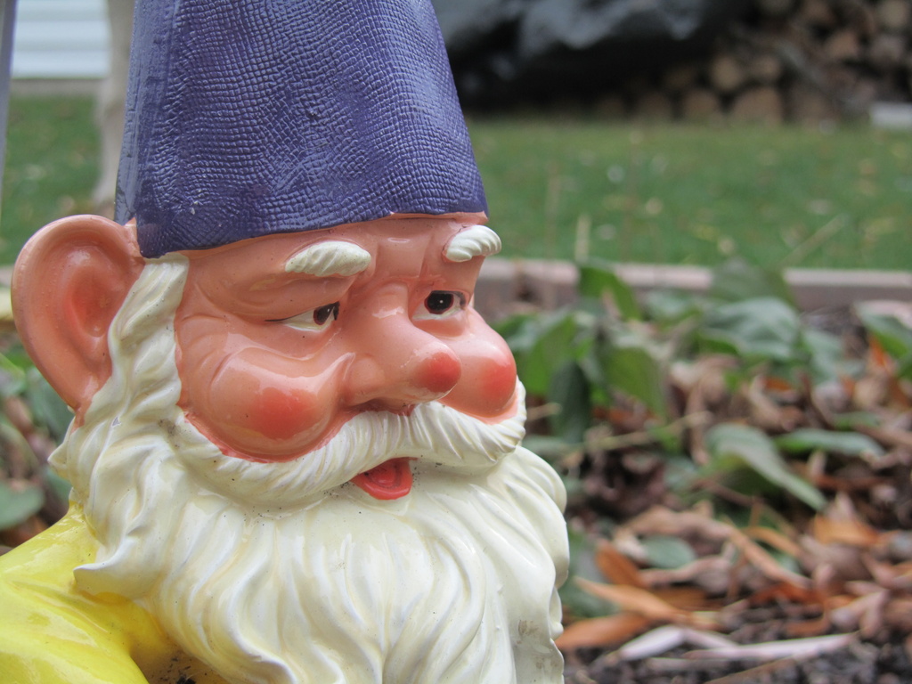 Gnome Alone by mrsbubbles