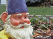 20th Nov 2012 - Gnome Alone