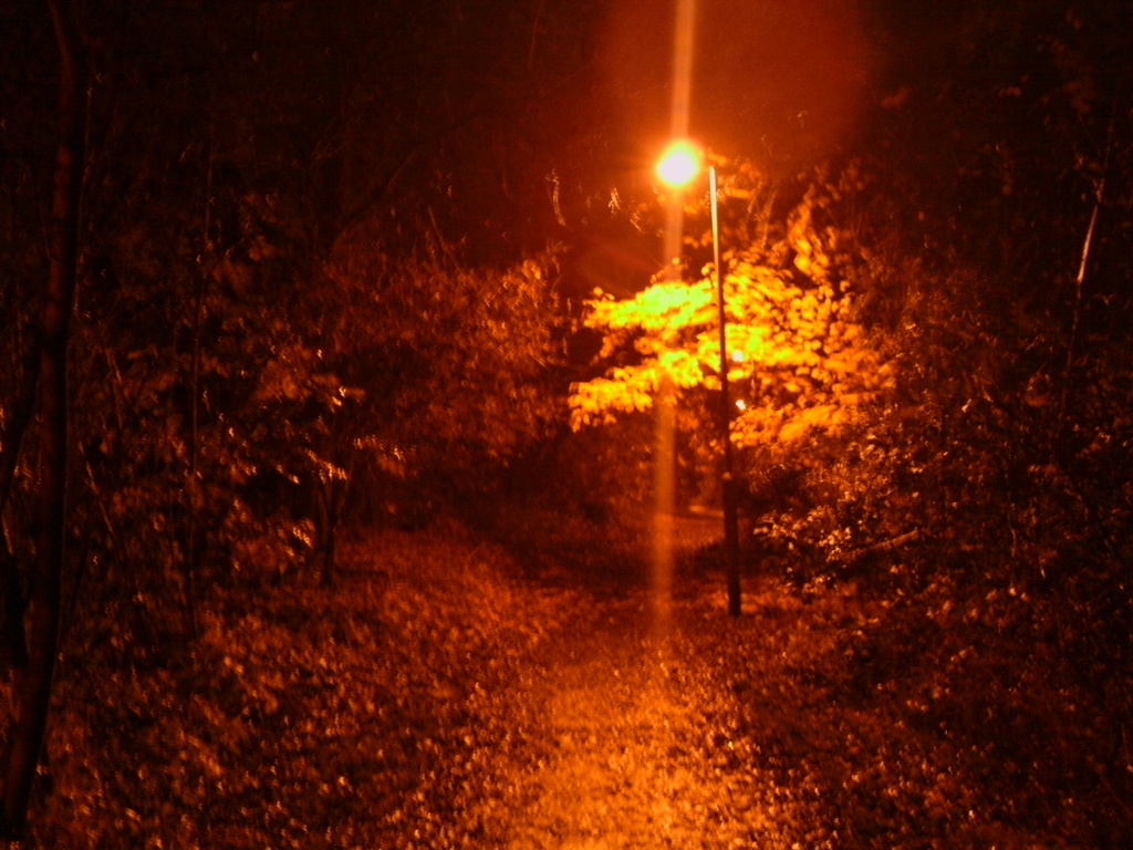 Iluminated alley way by richardcreese