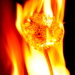 Dandelion Burning (colour version) by jayberg